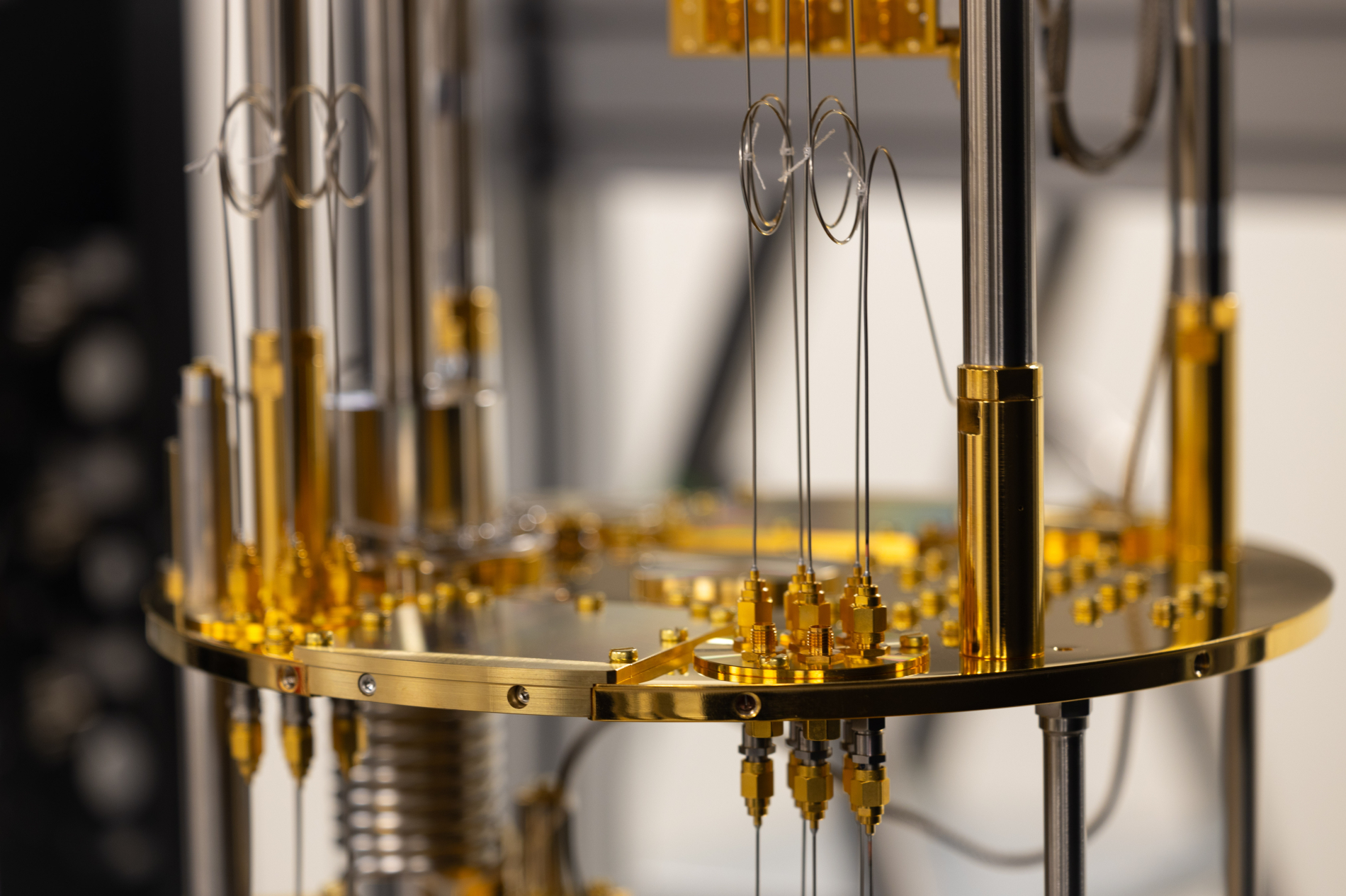 quantum_pogladowe-6.jpg