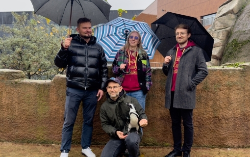 Sztuczna inteligencja w służbie pingwinom